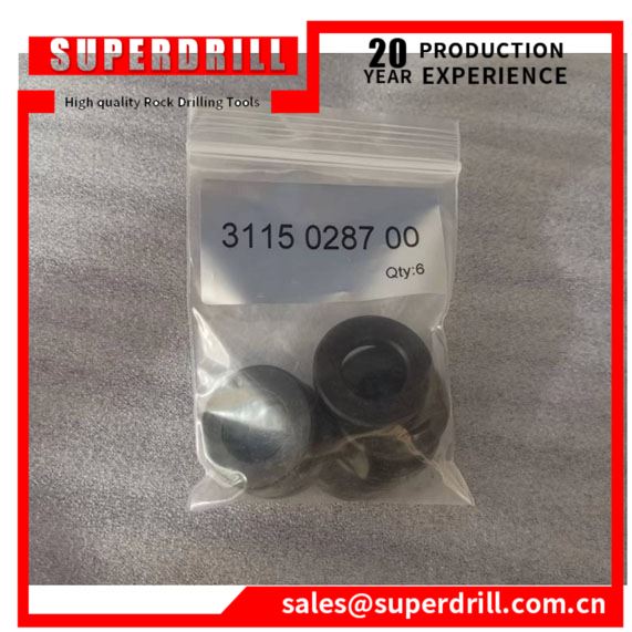 3115028700/gasket/drilling Rig Accessories