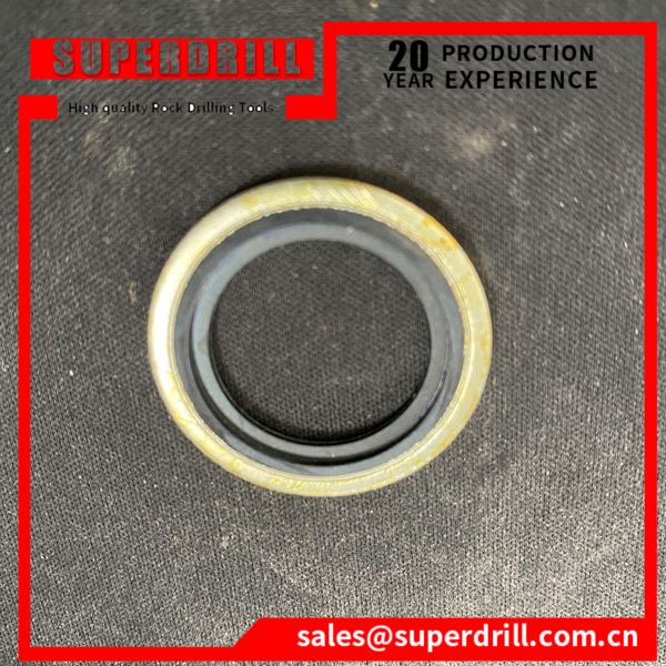 3115169500/combined Seal Washer