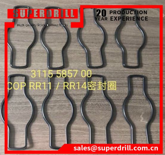 3115585700/ Seal/drilling Rig Parts/cop Rr11