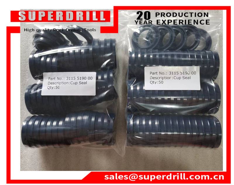 3115519000/cup Seal /drilling Rig Accessories